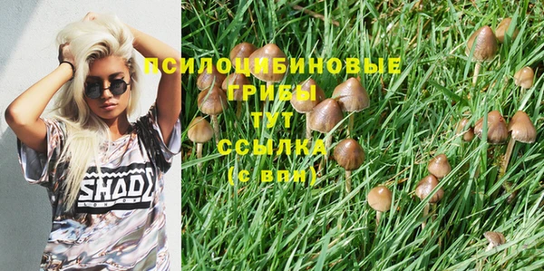 дмт Михайловка