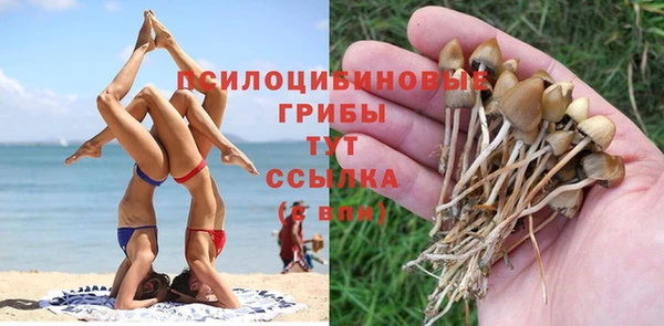 дмт Михайловка