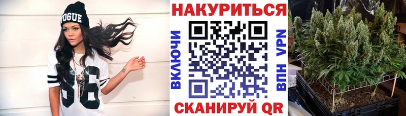 МАРИХУАНА тримм  Купить закладки  Дмитровск 
